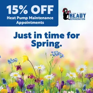 spring rebates